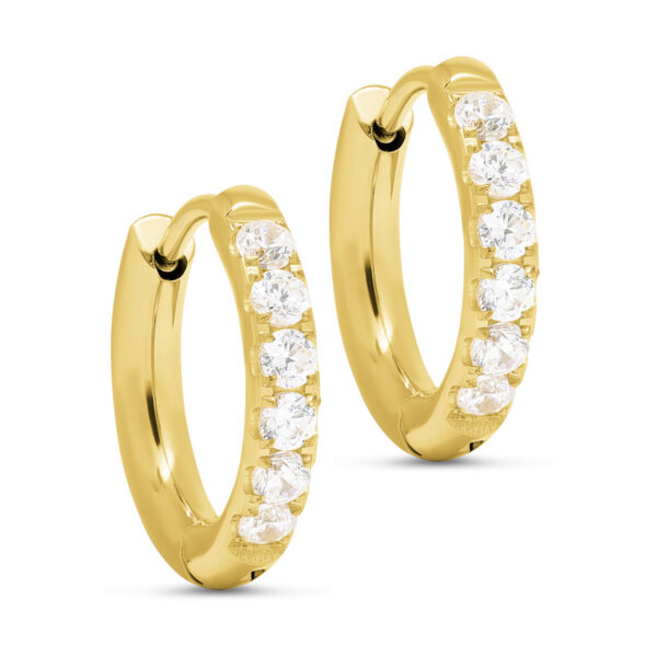 Teräskorvakorut kullattu zirkoneilla rengas