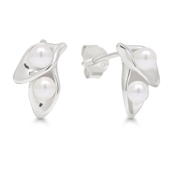 Hopeakorvakorut makeanveden helmi kasvi